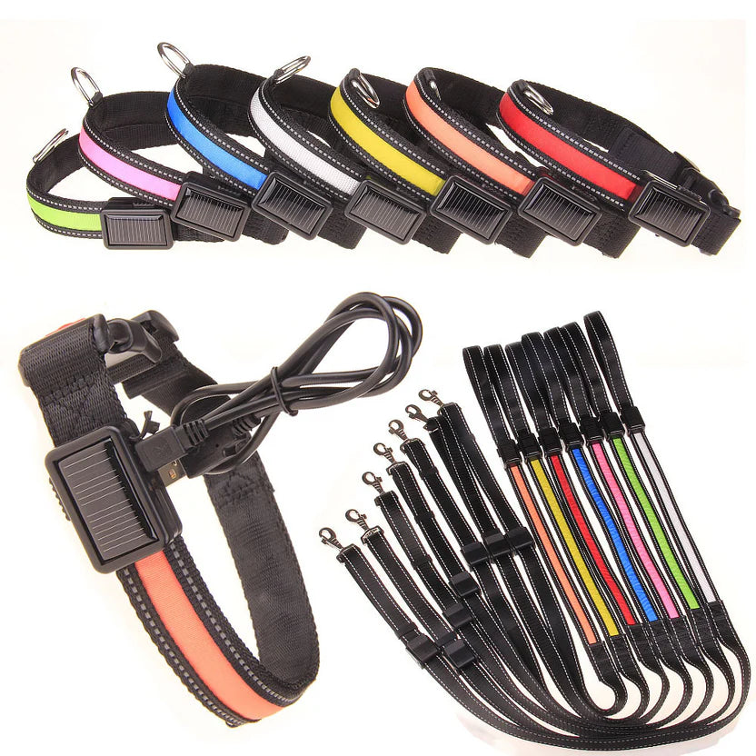 LED Hondenhalsband – Oplaadbaar, Waterbestendig & Ultra Zichtbaar | Veilig in het Donker