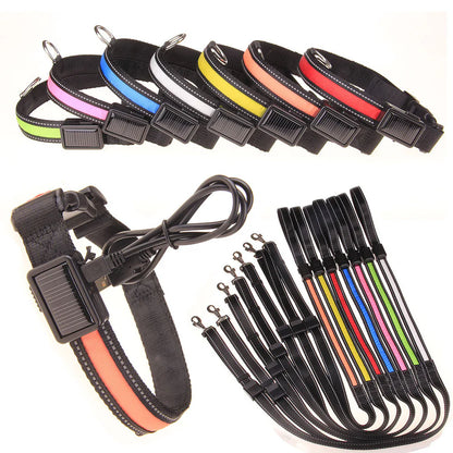 LED Hondenhalsband – Oplaadbaar, Waterbestendig & Ultra Zichtbaar | Veilig in het Donker