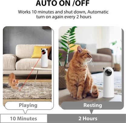 Lasy | Automatische laser voor honden en katten