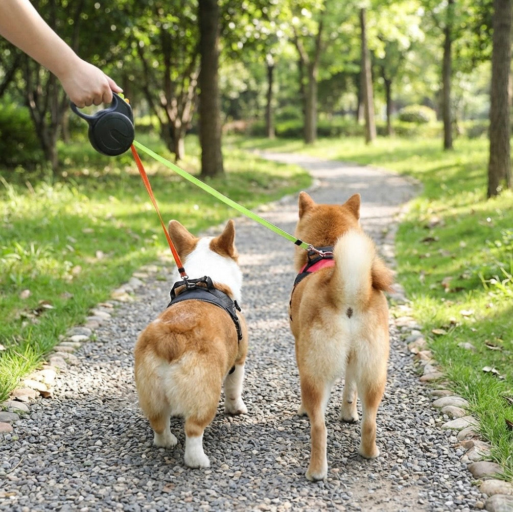 Smart Pets™ Dubbele Honden Riem met Zaklamp