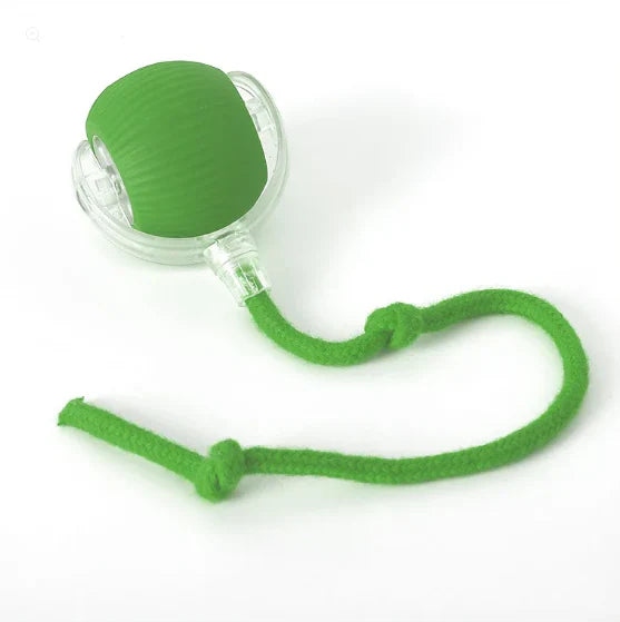 Ballsy | Interactief speeltje voor Honden en Katten