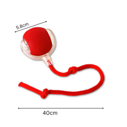 Ballsy | Interactief speeltje voor Honden en Katten