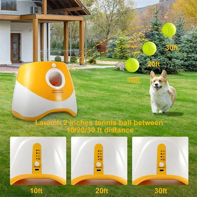 SpeelMaat - Automatische Ballenwerper voor Honden