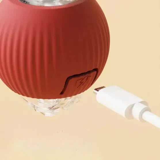 Ballsy | Interactief speeltje voor Honden en Katten