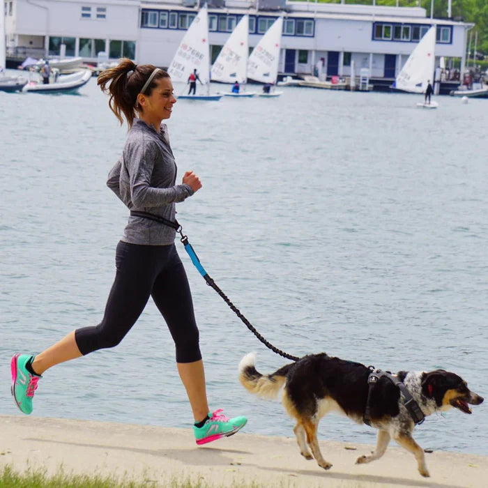RunMate - Handsfree Hondenriem