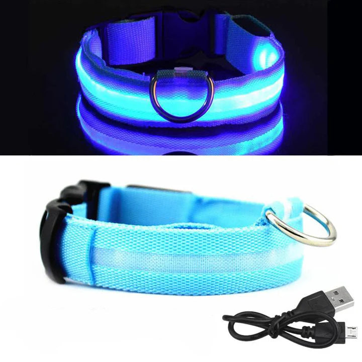 LED Hondenhalsband – Oplaadbaar, Waterbestendig & Ultra Zichtbaar | Veilig in het Donker