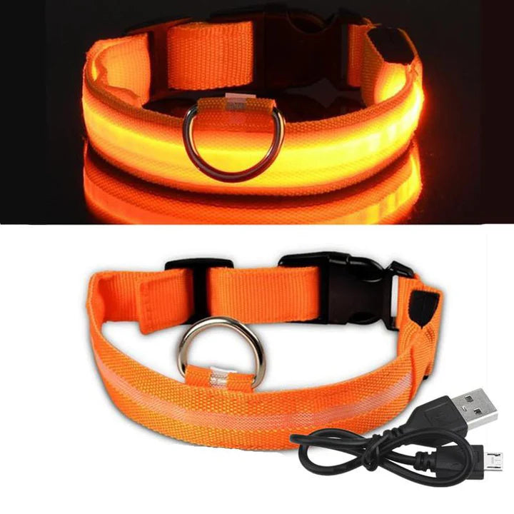 LED Hondenhalsband – Oplaadbaar, Waterbestendig & Ultra Zichtbaar | Veilig in het Donker