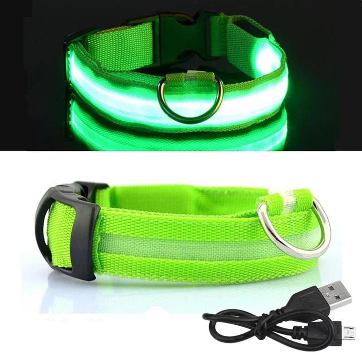 LED Hondenhalsband – Oplaadbaar, Waterbestendig & Ultra Zichtbaar | Veilig in het Donker