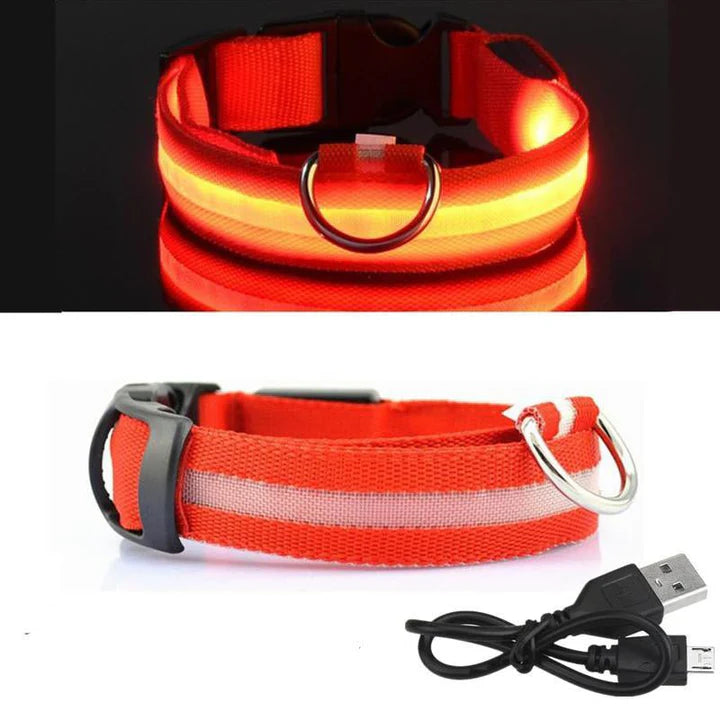 LED Hondenhalsband – Oplaadbaar, Waterbestendig & Ultra Zichtbaar | Veilig in het Donker