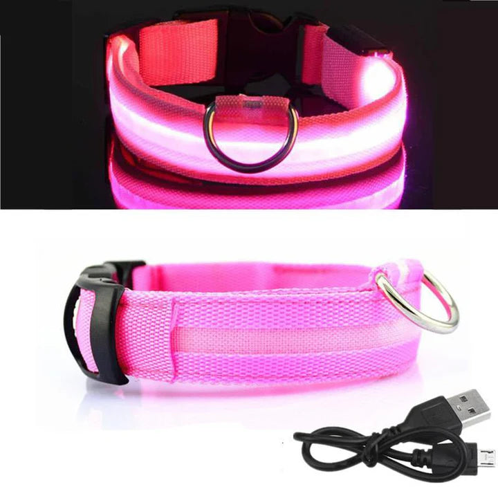 LED Hondenhalsband – Oplaadbaar, Waterbestendig & Ultra Zichtbaar | Veilig in het Donker