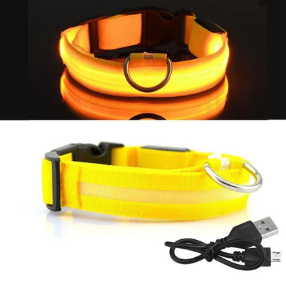 LED Hondenhalsband – Oplaadbaar, Waterbestendig & Ultra Zichtbaar | Veilig in het Donker