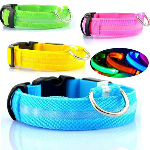 LED Hondenhalsband – Oplaadbaar, Waterbestendig & Ultra Zichtbaar | Veilig in het Donker
