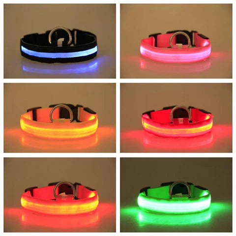 LED Hondenhalsband – Oplaadbaar, Waterbestendig & Ultra Zichtbaar | Veilig in het Donker