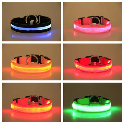 LED Hondenhalsband – Oplaadbaar, Waterbestendig & Ultra Zichtbaar | Veilig in het Donker