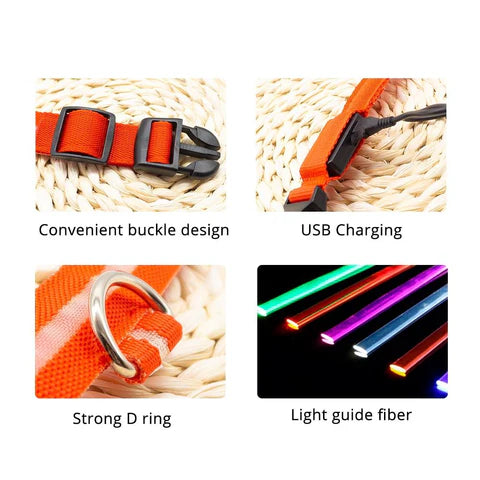 LED Hondenhalsband – Oplaadbaar, Waterbestendig & Ultra Zichtbaar | Veilig in het Donker